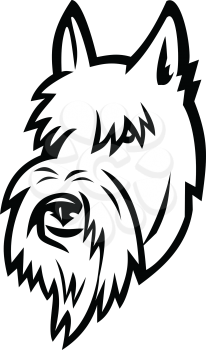 Sports mascot icon illustration of head of a Scottish Terrier, Aberdeen Terrier or Scottie dog viewed from front on isolated background in retro style.