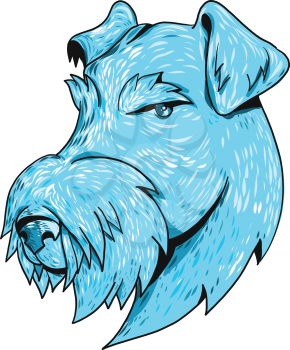 Drawing sketch style illustration head of a Airedale Terrier, Bingley Terrier or Waterside Terrier, the largest of all terriers also known as the King of Terriers on isolated white background.