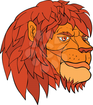 Cartoon style illustration of a head of a lion with full mane ruminating in pensive mood viewed from side on isolated background in color.
