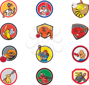 Set or collection of cartoon character mascot style illustration of animals like turkey, wasp, bee, bear, gorilla,dog, shrimp, crow engaged in sports or sporting on isolated white background.