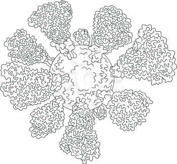 Line drawing illustration of a microscopic cryo-electron coronavirus, COVID-19 or 2019-nCoV cell with crowns of spikes done in monoline style black and white.