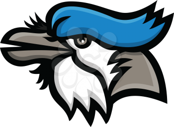 Mascot icon illustration of head of a blue jay (Cyanocitta cristata), a passerine bird in the family Corvidae, native to North America looking up viewed from side on isolated background in retro style.