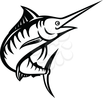 Retro style illustration of an Indo-Pacific blue marlin, a species of marlin or billfish swimming and jumping up done in black and white on isolated background in black and white stencil.