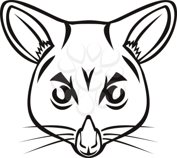 Mascot illustration of head of a common brushtail possum Trichosurus vulpecula, a nocturnal, semi-arboreal marsupial of the family Phalangeridae, native to Australia viewed from front in retro style.