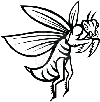 Mascot illustration of a praying mantis or mantis with forearms folded flying viewed from side on isolated background in retro black and white style.