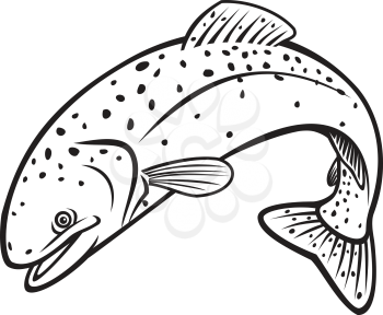 Retro stencil style illustration of steelhead, rainbow trout, Oncorhynchus mykiss, Columbia River redband trout, coastal rainbow trout, a salmonid jumping on isolated background in black and white.