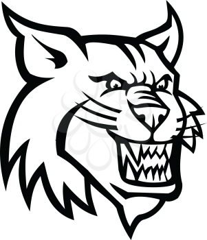 Black and white mascot illustration of head of a bobcat or Canadian lynx, a North American cat, viewed from front on isolated background in retro style.