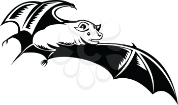 Retro woodcut style illustration of a megabat, fruit bat, old world fruit bat or flying fox, in full flight on isolated background done in black and white.