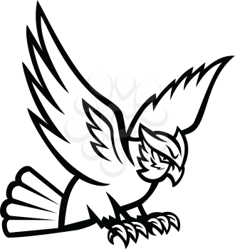 Black and white mascot illustration of a great horned owl flying and swooping viewed from side on isolated background in retro style.