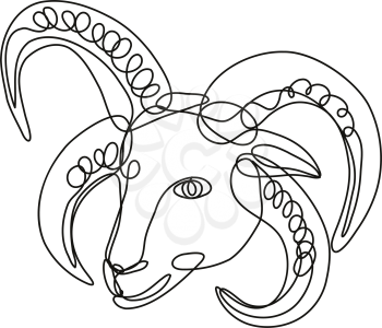 Continuous line drawing illustration of a head of Manx Loaghtan sheep done in mono line or doodle style in black and white on isolated background. 