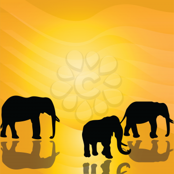 Royalty Free Clipart Image of Three Elephants