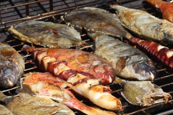 Royalty Free Photo of Fish on a Grill