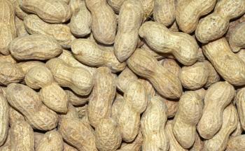 Royalty Free Photo of Peanuts in Shells