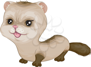 Royalty Free Clipart Image of a Baby Ferret