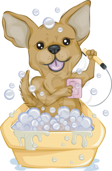 Royalty Free Clipart Image of a Chihuahua Taking a Bath