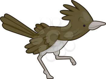 Royalty Free Clipart Image of a Roadrunner
