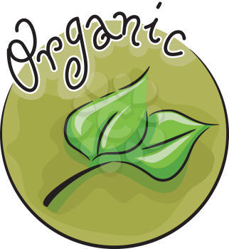 Icon Illustration Featuring a Leaf