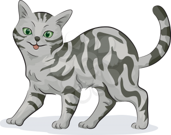 Illustration of a Cute Gray American Shorthair Cat