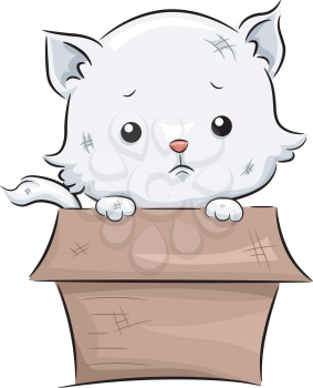 Illustration Featuring a Dirty White Cat Sitting in an Equally Dirty Box