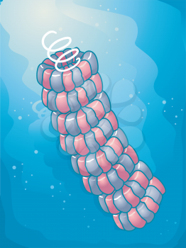 Illustration Featuring a Helical Virus