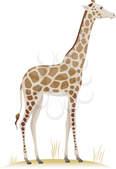 Illustration Featuring a Giraffe Standing on a Patch of Dry Grass