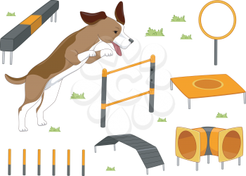 Illustration Featuring Different Objects Used in Agility Training for Dogs