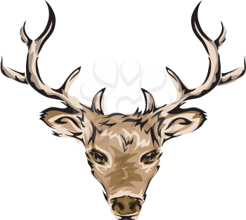 Illustration Featuring a Deer