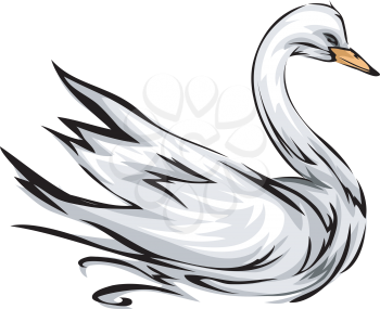 Illustration Featuring a Swan with its Wings Spread Wide