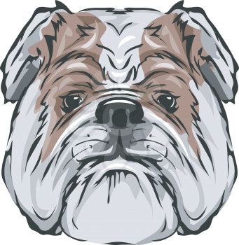 Illustration Featuring a Bull Dog