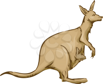 Illustration Featuring a Kangaroo Carrying its Baby on its Pouch