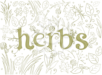 Doodle Illustration Featuring Different Herbs