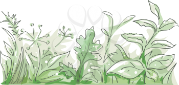 Border Illustration Featuring Different Herbs