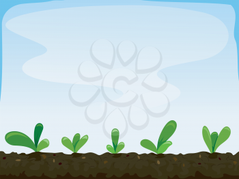 Illustration Featuring Seedlings Planted Inches Apart

