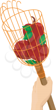 Illustration of a Hand Holding a Fruit Picker With Apples in It