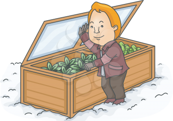 Illustration of a Man Checking the Cold Frame of His Winter Garden