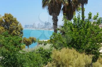Royalty Free Photo of the Sea Coast and the View of Tel Aviv From Old Jaffa