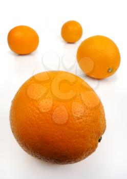 Royalty Free Photo of Oranges on a White Background