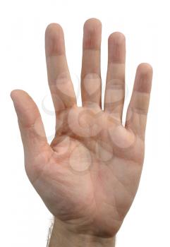Royalty Free Photo of a Hand Showing Five Fingers