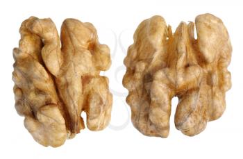 Royalty Free Photo of Two Walnuts on White