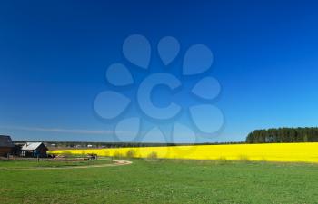 Royalty Free Photo of a Sunny Day in the Countryside