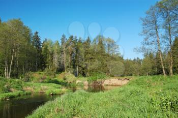Royalty Free Photo of a Small River Flowing Through a Forest