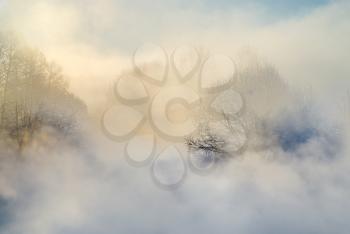 Royalty Free Photo of Frost and Fog