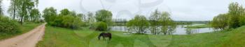 Royalty Free Photo of a Panorama of a Horse in a Field by a Road and a River Behind