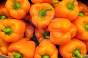 Several pods of orange sweet pepper, capsicum