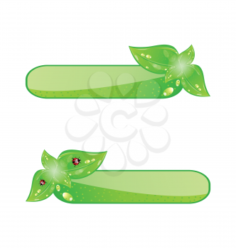 Illustration eco friendly icons with green leaves - vector
