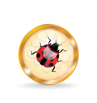 Illustration golden circle label (button) with ladybug - vector