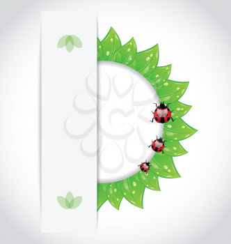 Illustration eco green leaves with ladybugs - vector