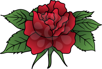Illustration beautiful red rose isolated - vector