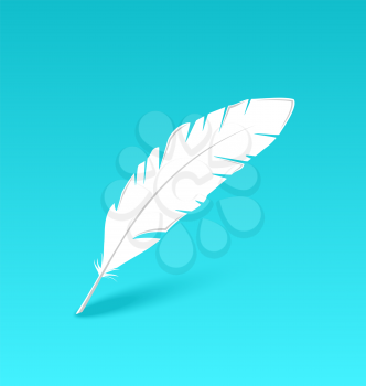 Illustration white feather isolated on blue background - vector