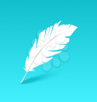 Illustration white feather isolated on blue background - vector